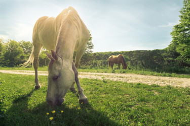 Similar image 13025056