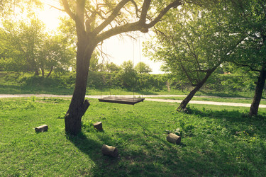 Similar image 13025058