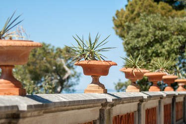 Similar image 13042172