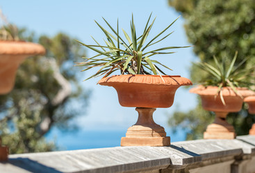 Similar image 13042173