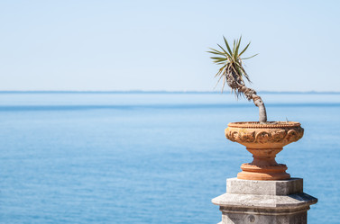 Similar image 13042174