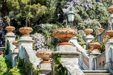 Similar image 13042206