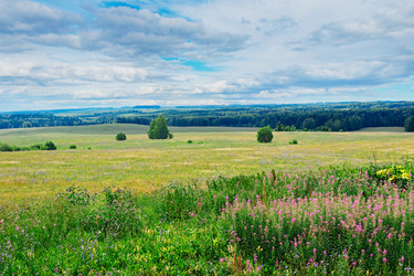 Similar image 13012957