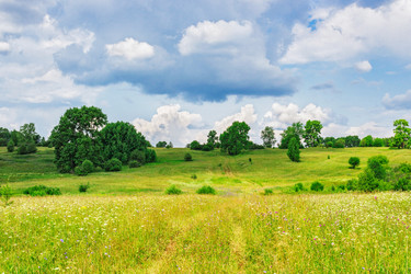 Similar image 13012960