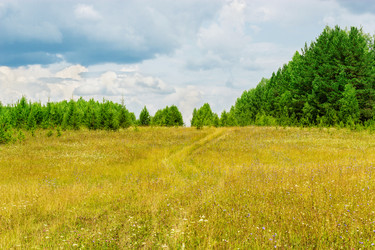 Similar image 13012961