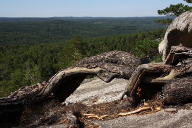 Similar image 13013140