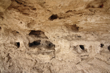 Similar image 13013161