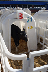 Similar image 13013167