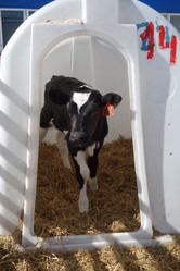 Similar image 13013168