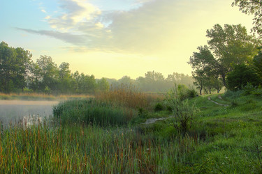 Similar image 13012903