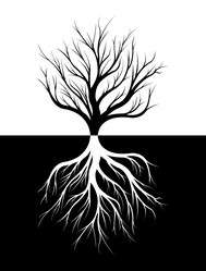 Similar image 13013401