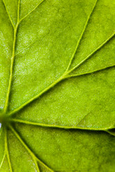 Similar image 13013429