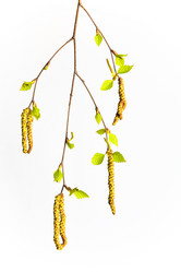 Similar image 13013184