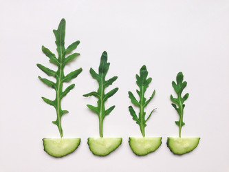 Similar image 13013356