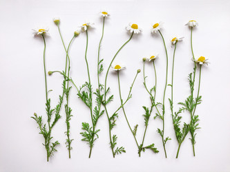 Similar image 13013359