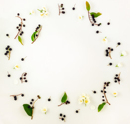 Similar image 13013368