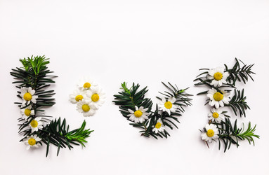 Similar image 13013369