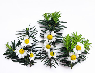 Similar image 13013370