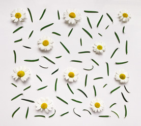 Similar image 13013455