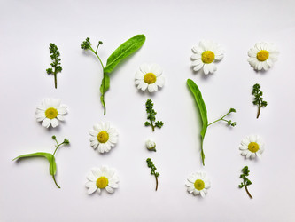 Similar image 13013456