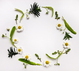 Similar image 13013457