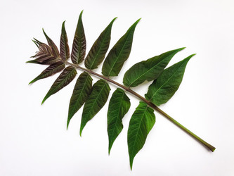 Similar image 13013458