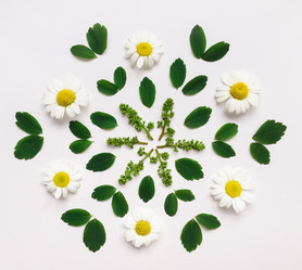 Similar image 13013460