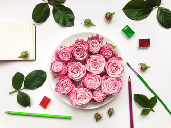 Similar image 13024955