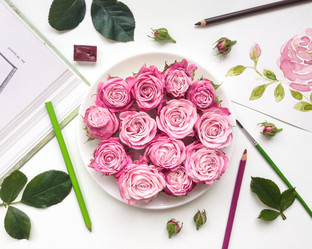 Similar image 13024956