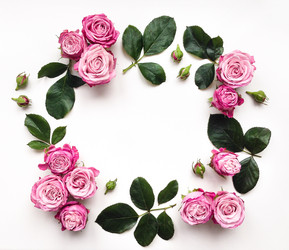 Similar image 13024976