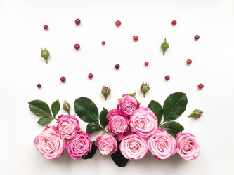 Similar image 13024979