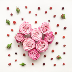 Similar image 13024980