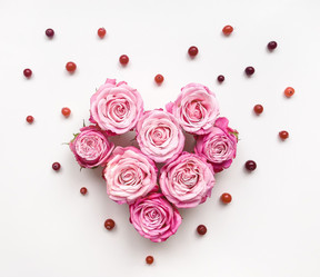 Similar image 13024981