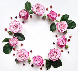 Similar image 13024984