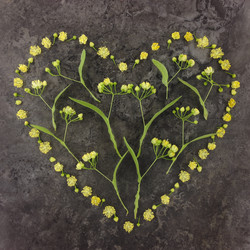 Similar image 13024985