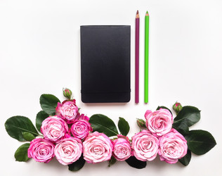 Similar image 13024988