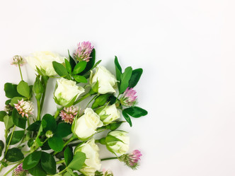 Similar image 13025005