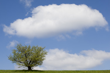 Similar image 13028772