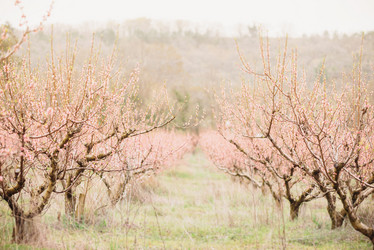 Similar image 13033778