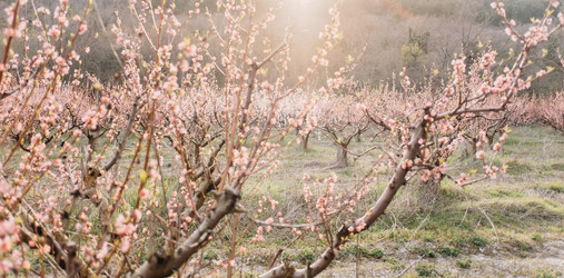 Similar image 13033783