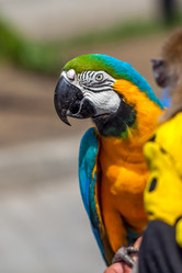 Similar image 13062049