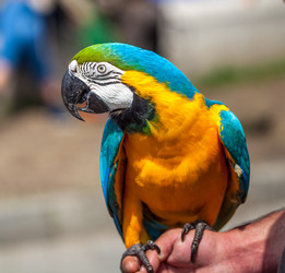 Similar image 13062067