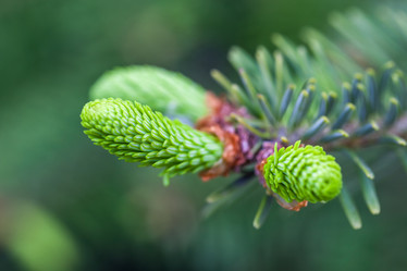 Similar image 13062070