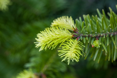 Similar image 13062073