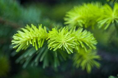 Similar image 13062075