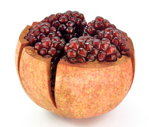 Similar image 13024602