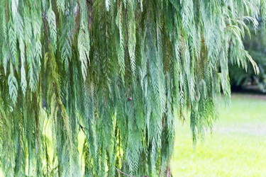 Similar image 13013199