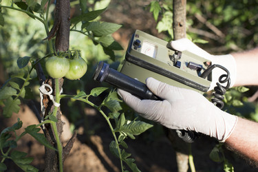 Similar image 13028720