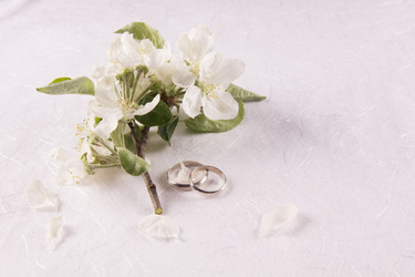 Similar image 13024941