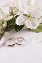 Similar image 13024959